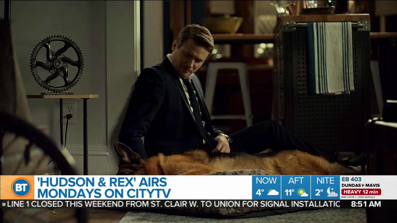 Hudson & Rex - Citytv  Watch Full TV Episodes Online & See TV